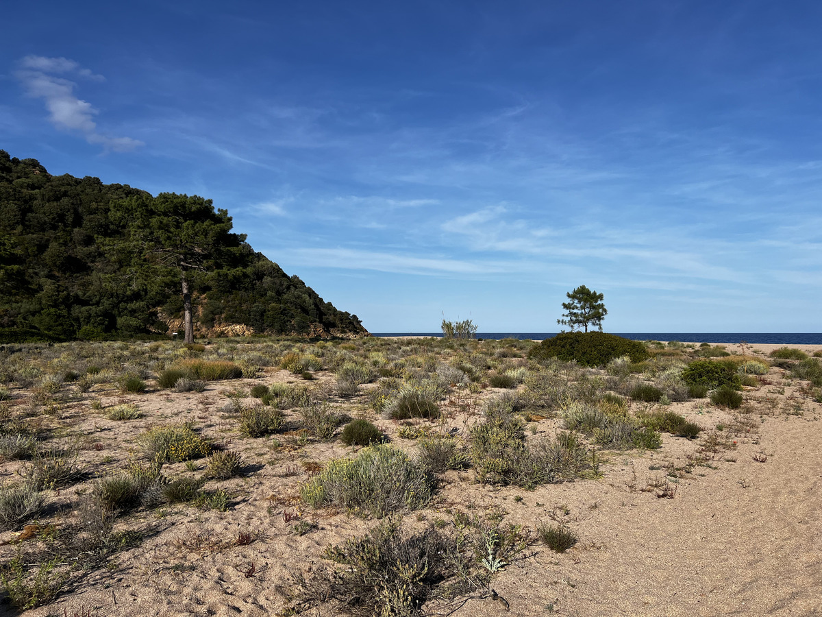 Picture France Corsica Ovu Santu Beach⁩ 2024-05 6 - Monument Ovu Santu Beach⁩