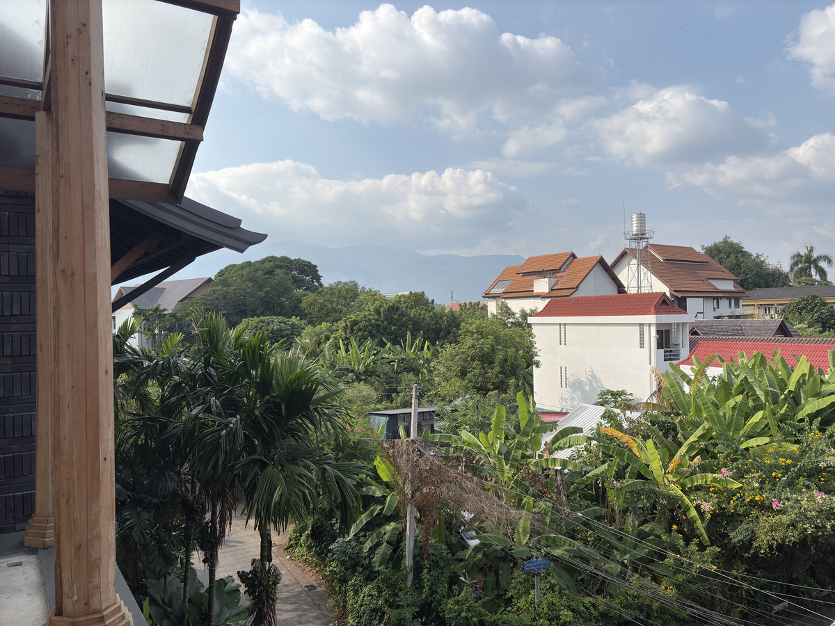 Picture Thailand Chiang Mai Kalm 2024-12 65 - Summer Kalm