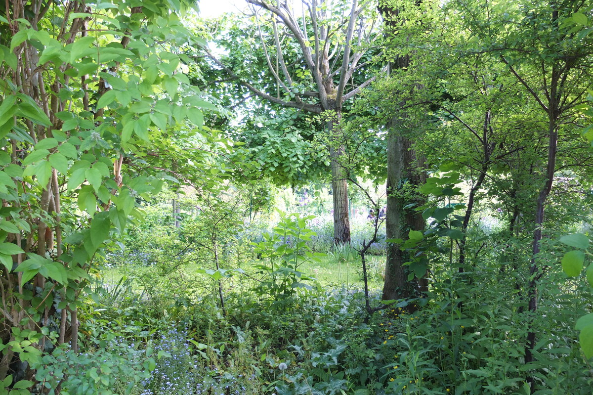 Picture France Giverny 2013-06 3 - Street Giverny