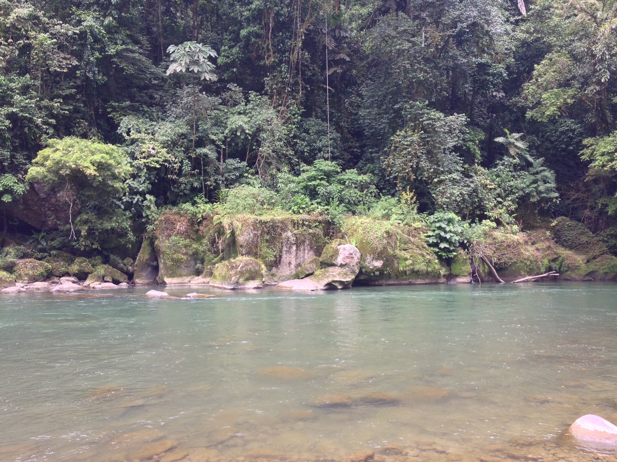 Picture Costa Rica Pacuare River 2015-03 4 - Hotel Pacuare River