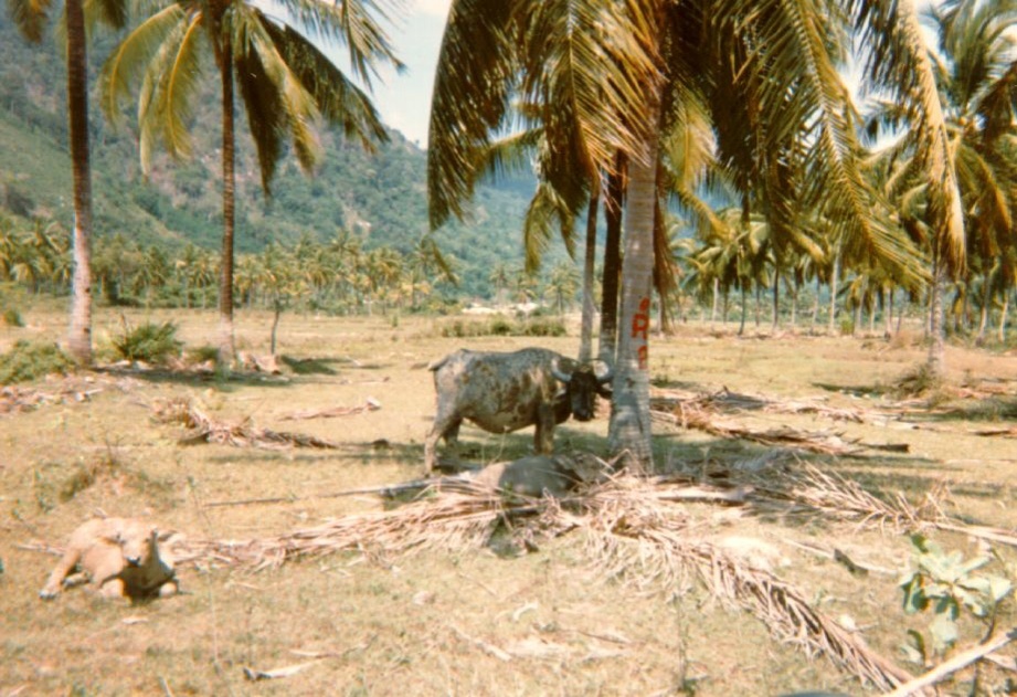 Picture Thailand Phuket 1989-04 24 - Weather Phuket
