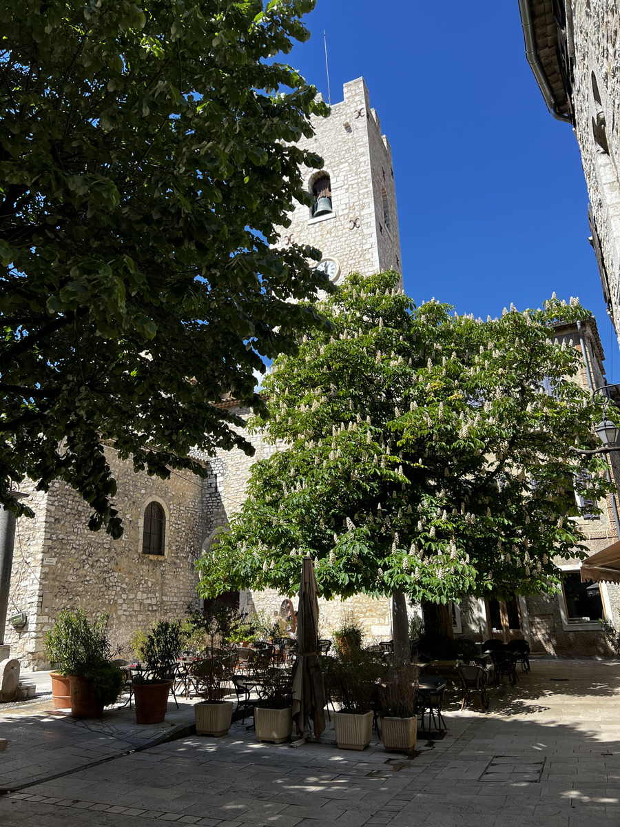 Picture France Vence 2024-04 61 - Rental Vence