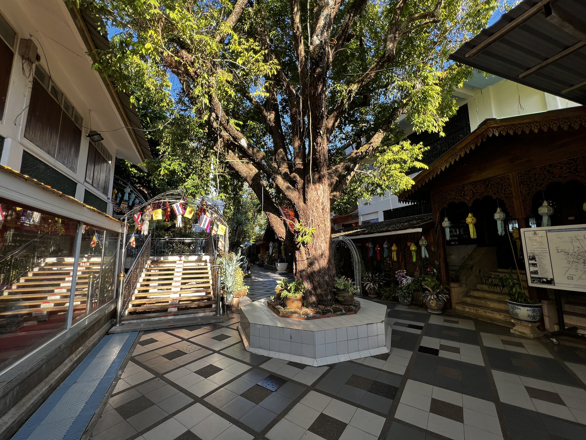 Picture Thailand Chiang Mai Doi Suthep 2024-01 32 - City View Doi Suthep