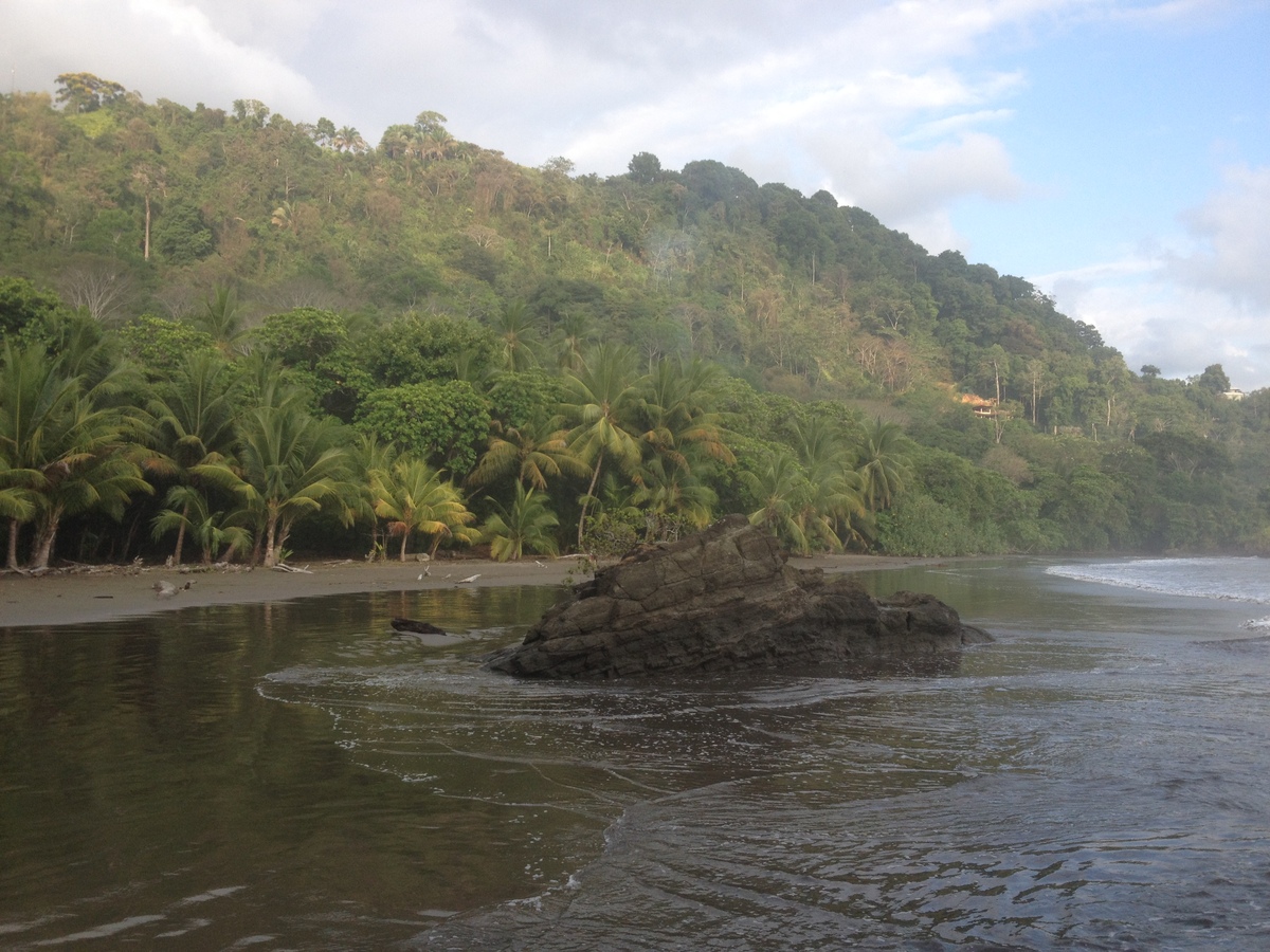 Picture Costa Rica Dominical 2015-03 109 - Saving Dominical