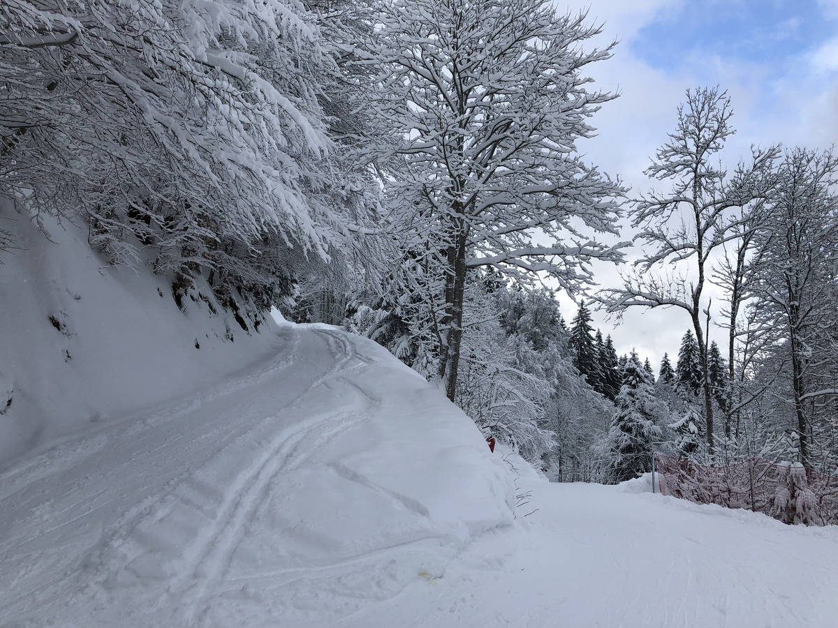 Picture France La Clusaz 2017-12 164 - Spring La Clusaz