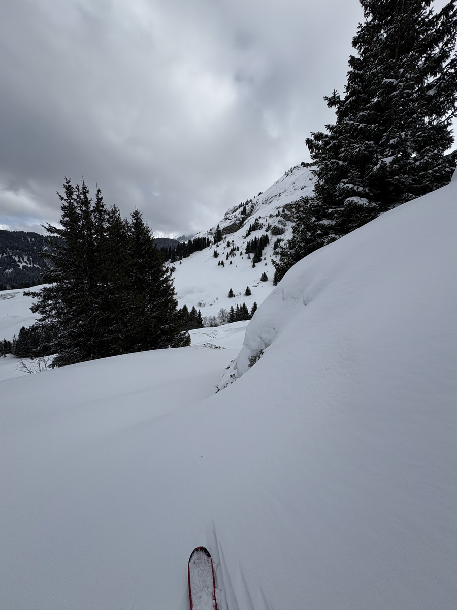 Picture France Praz sur Arly 2025-02 3 - City Praz sur Arly
