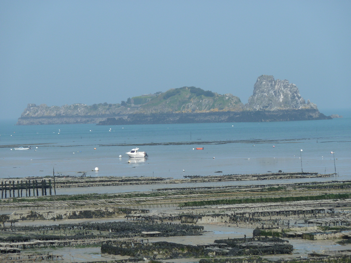 Picture France Cancale 2010-04 107 - Land Cancale