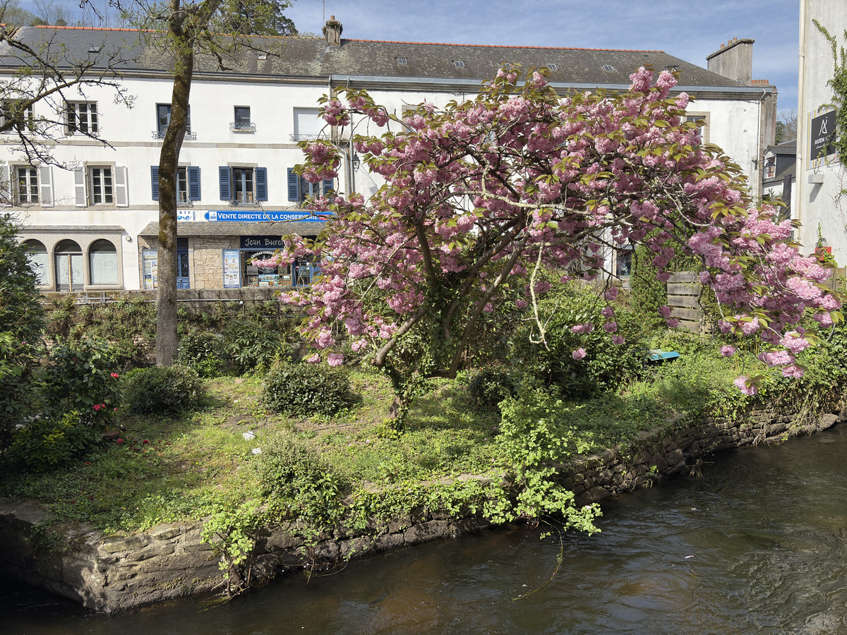 Picture France Pont Aven 2026-04 68 - Shopping Pont Aven