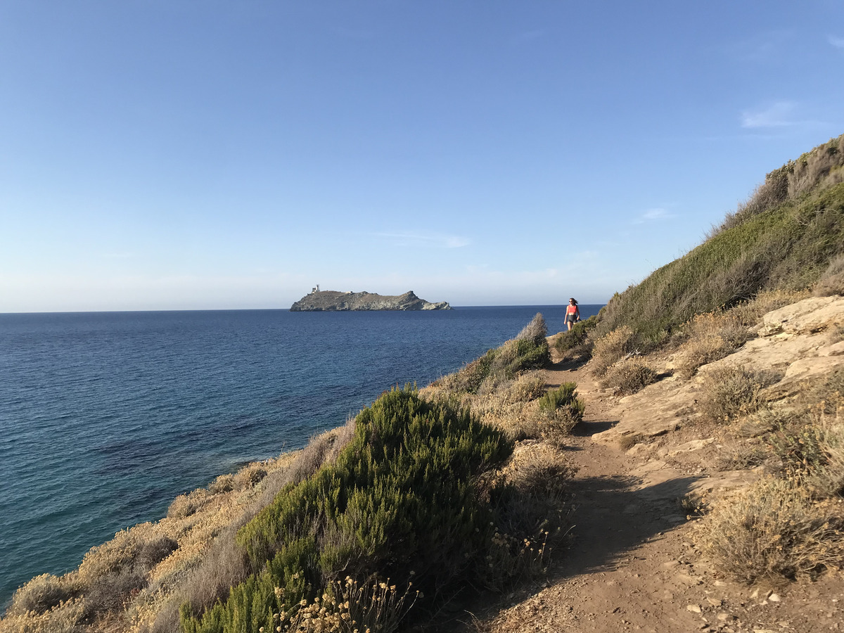 Picture France Corsica Cap 2024-07 39 - Summer Cap