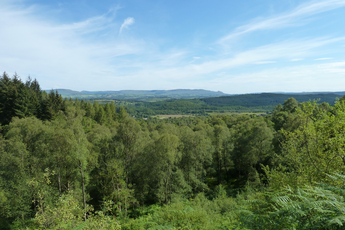Picture United Kingdom The Trossachs 2011-07 43 - Room The Trossachs