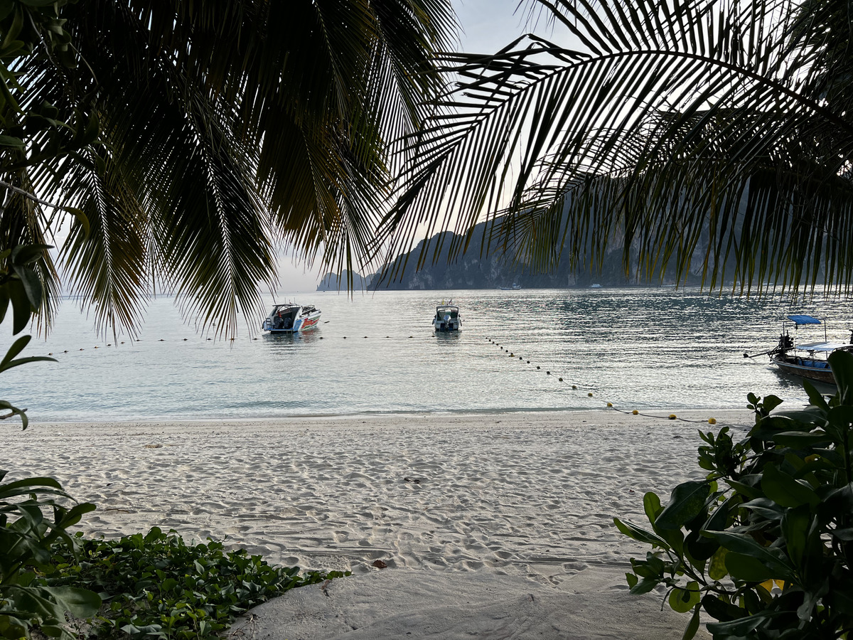 Picture Thailand Ko Phi Phi Don 2021-12 55 - Lands Ko Phi Phi Don