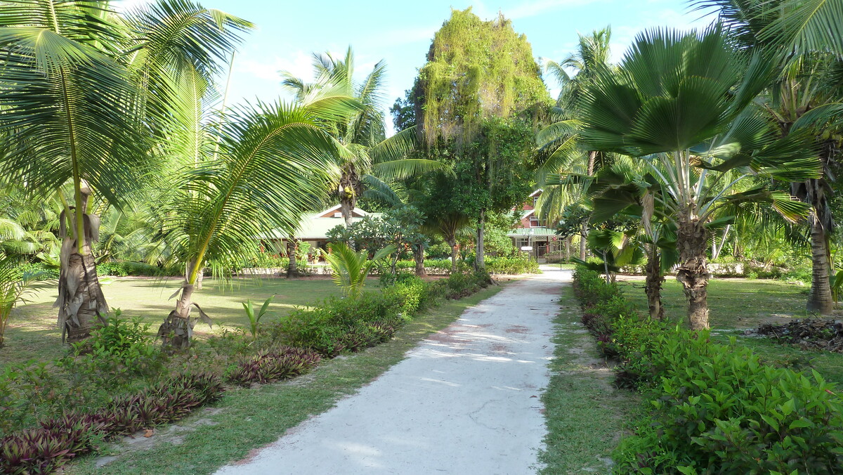 Picture Seychelles Anse Lazio 2011-10 40 - Streets Anse Lazio