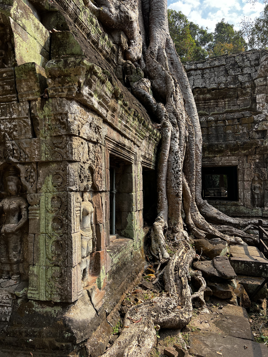 Picture Cambodia Siem Reap Ta Prohm 2023-01 142 - Sauna Ta Prohm