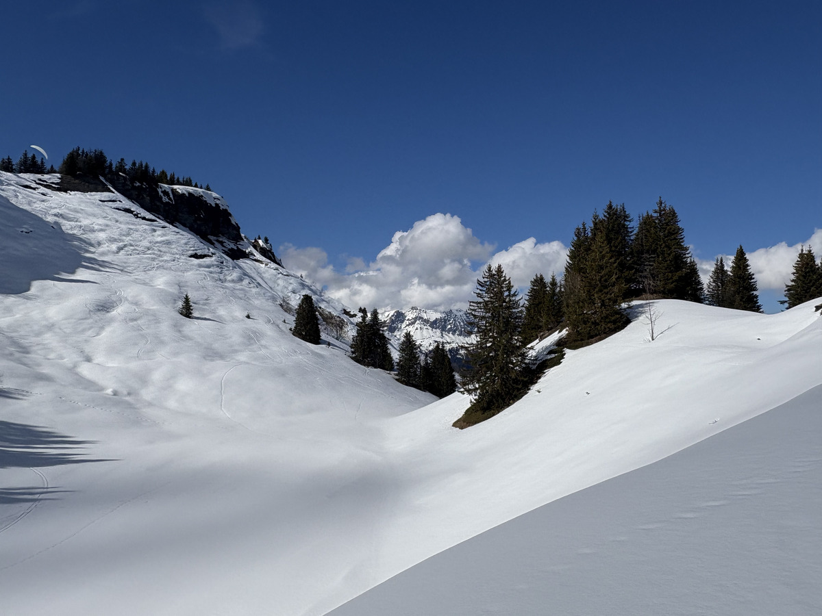 Picture France Praz sur Arly 2025-02 5 - Shopping Praz sur Arly