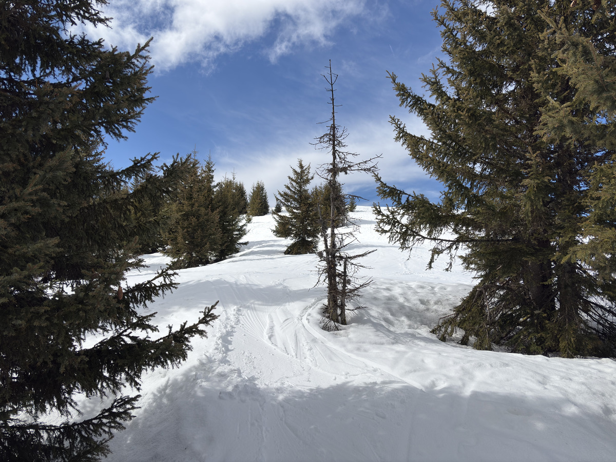 Picture France Praz sur Arly 2025-02 67 - Hotel Pools Praz sur Arly