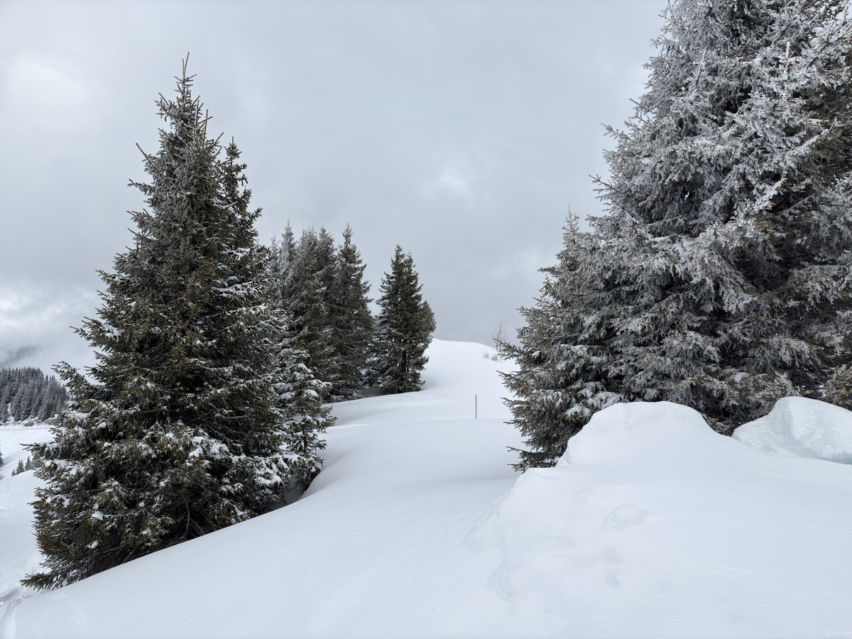 Picture France Praz sur Arly 2025-02 71 - Cost Praz sur Arly