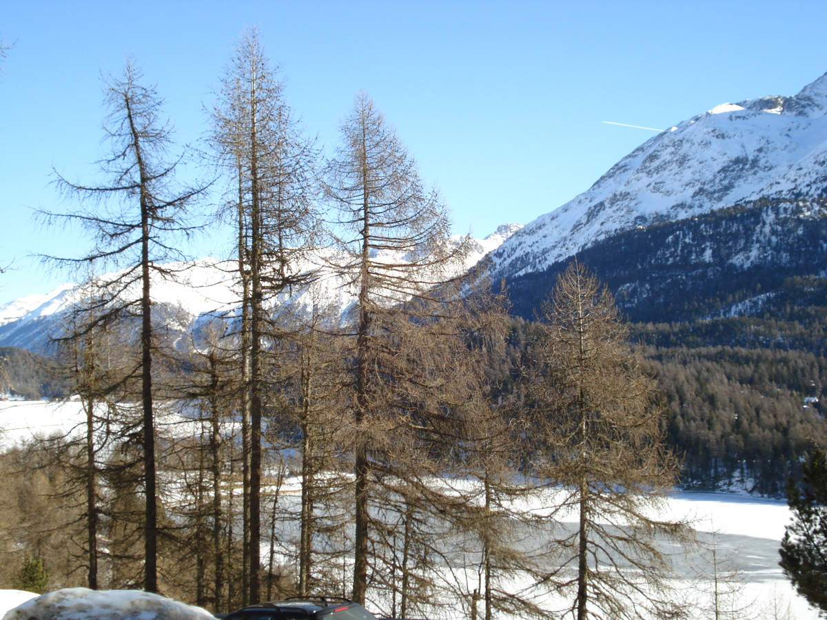 Picture Swiss Chur to St Moritz Road 2007-01 23 - Lake Chur to St Moritz Road