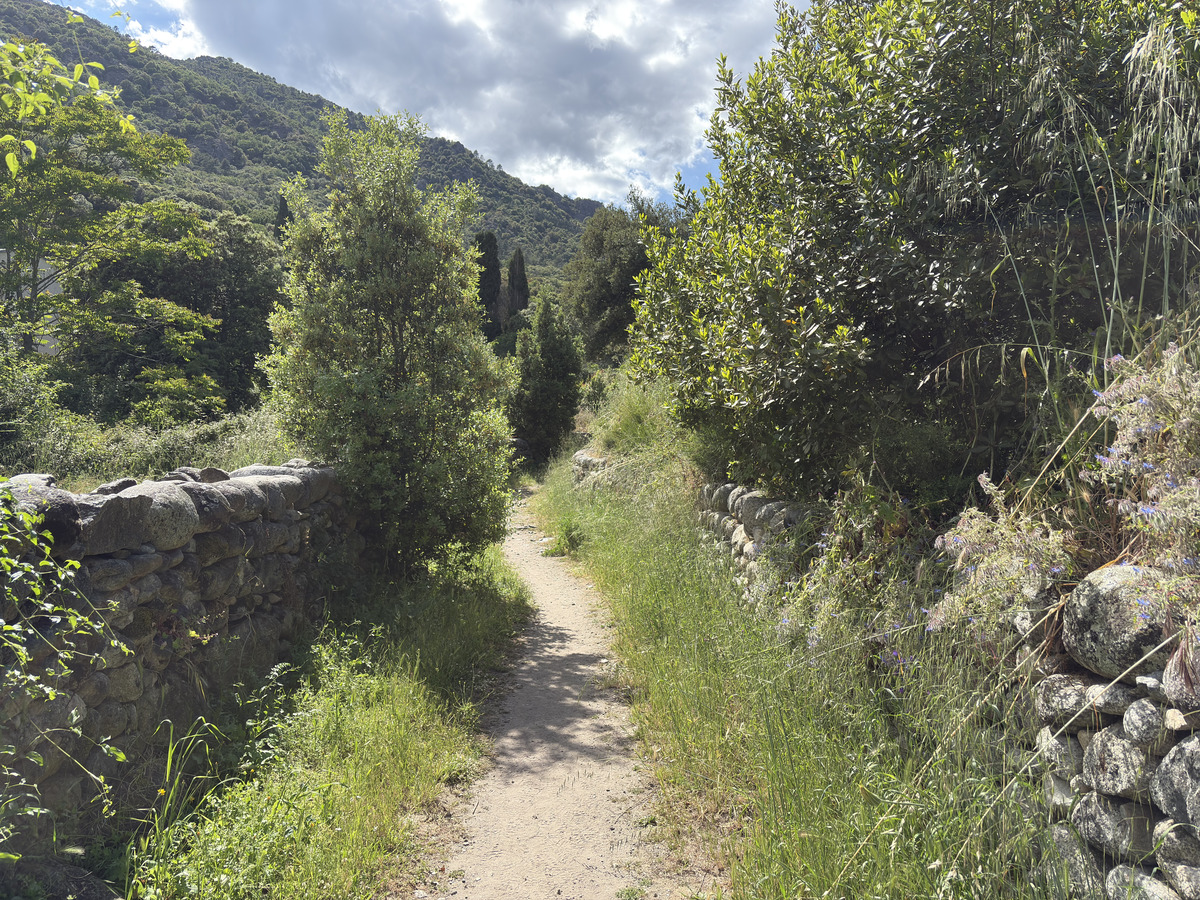 Picture France Corsica Corte 2025-06 15 - Rain Season Corte