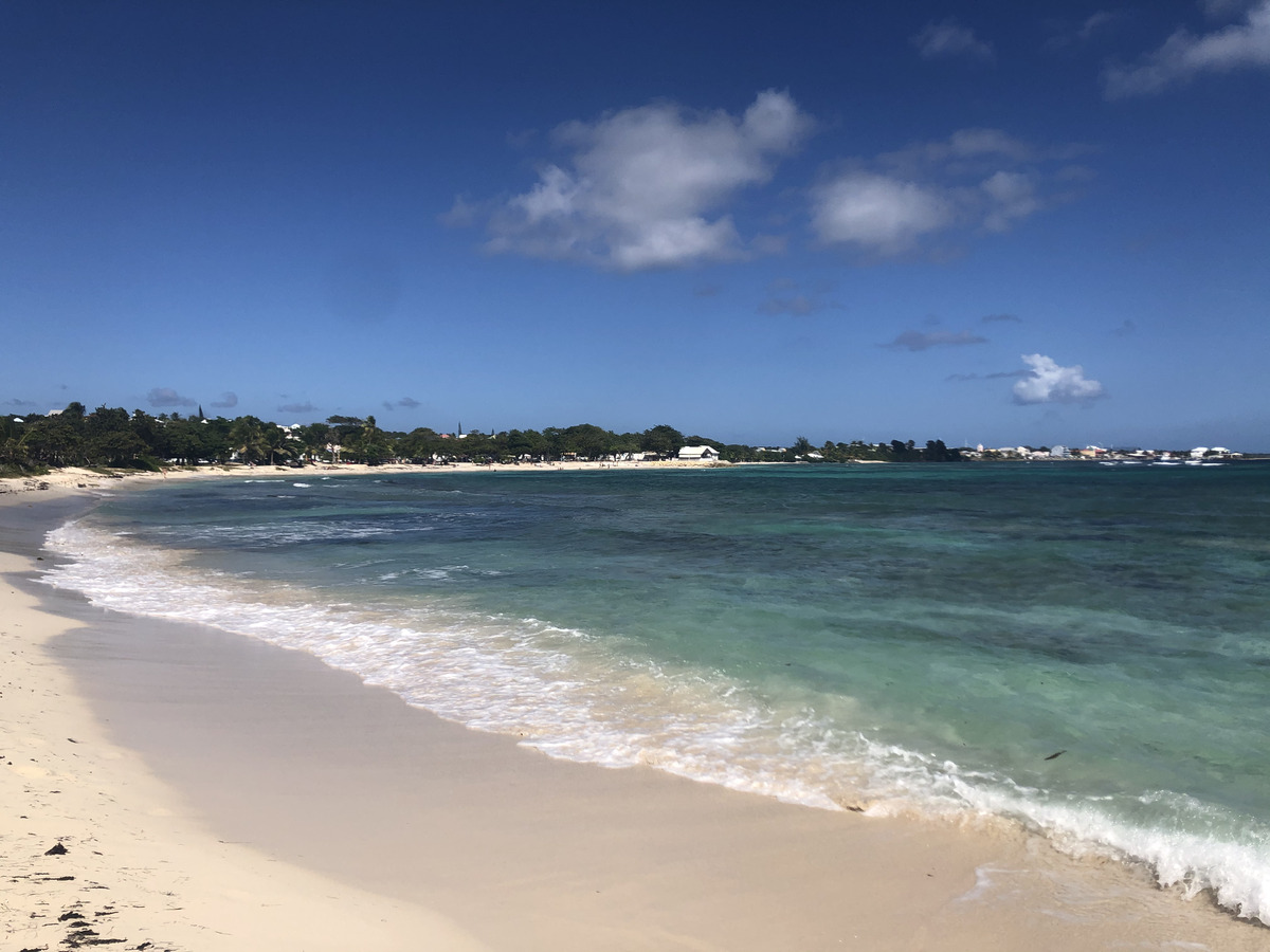 Picture Guadeloupe Saint Francois 2021-02 32 - Saving Saint Francois