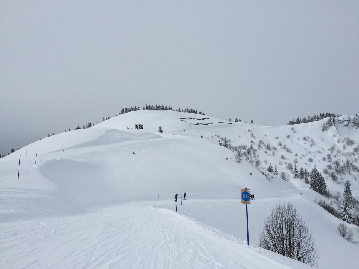 Picture France Megeve 2016-02 118 - Spring Megeve