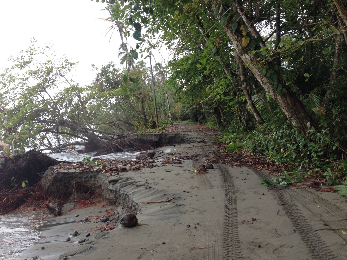 Picture Costa Rica Cahuita 2015-03 208 - City Cahuita