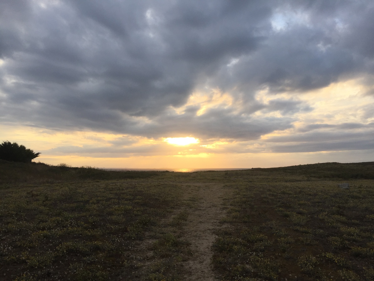 Picture France Hoedic 2016-08 50 - Land Hoedic