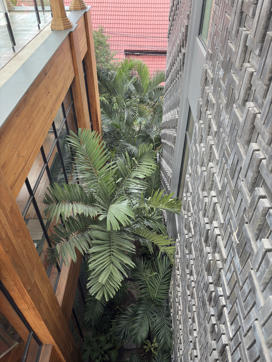 Picture Thailand Chiang Mai Kalm 2024-12 4 - Rentals Kalm