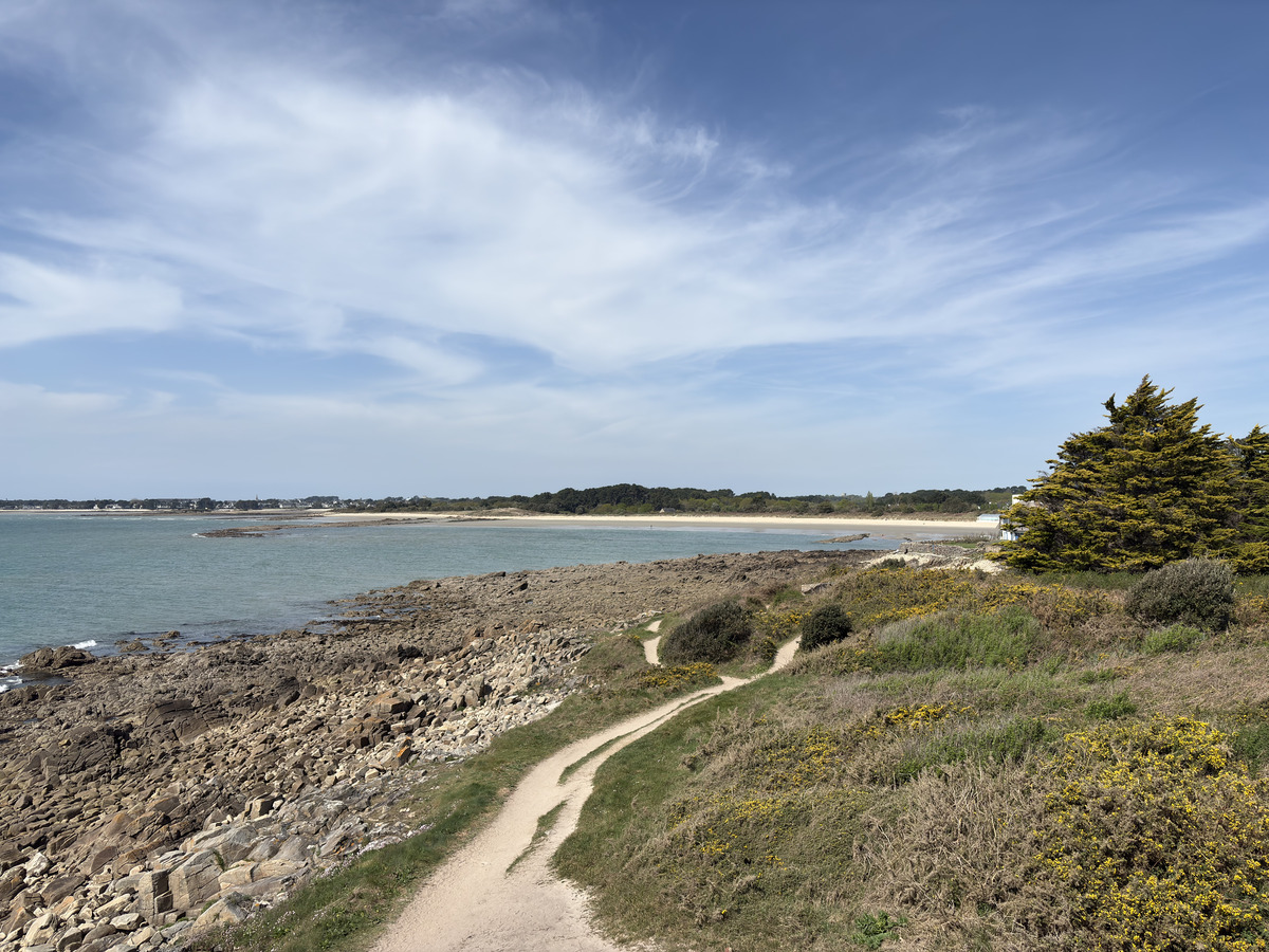 Picture France La Trinité sur Mer 2026-04 4 - Spring La Trinité sur Mer