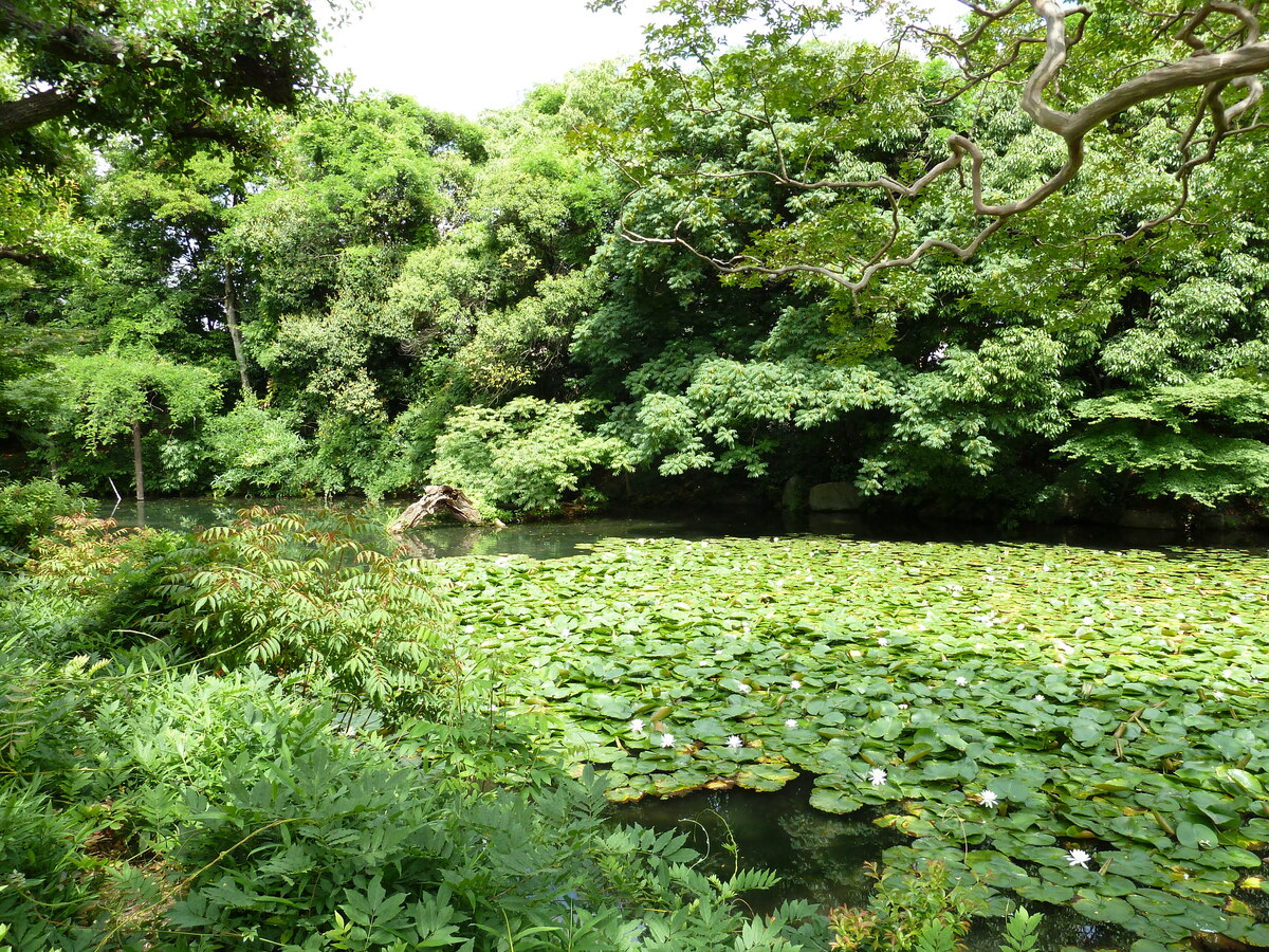 Picture Japan Kyoto Shosei en Garden 2010-06 46 - Summer Shosei en Garden