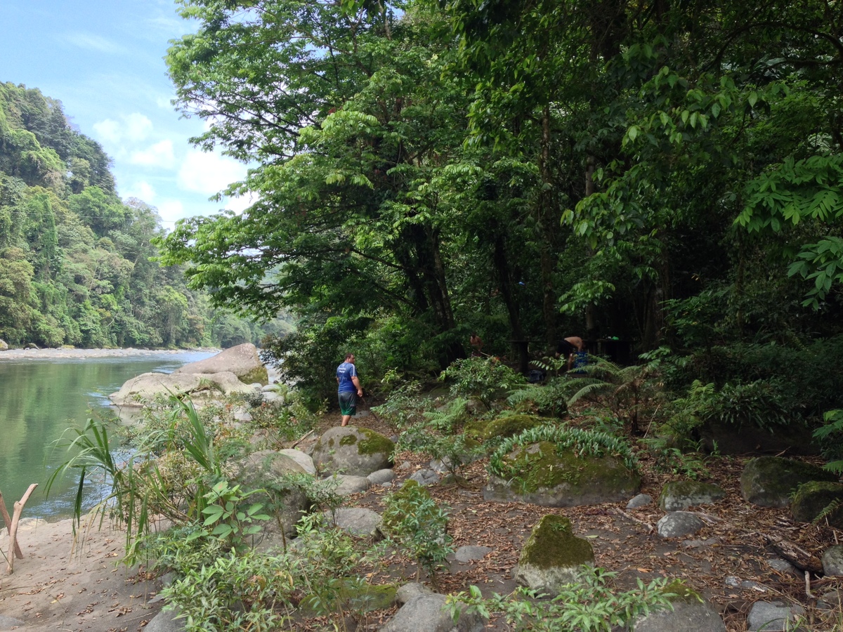 Picture Costa Rica Pacuare River 2015-03 40 - French Restaurant Pacuare River