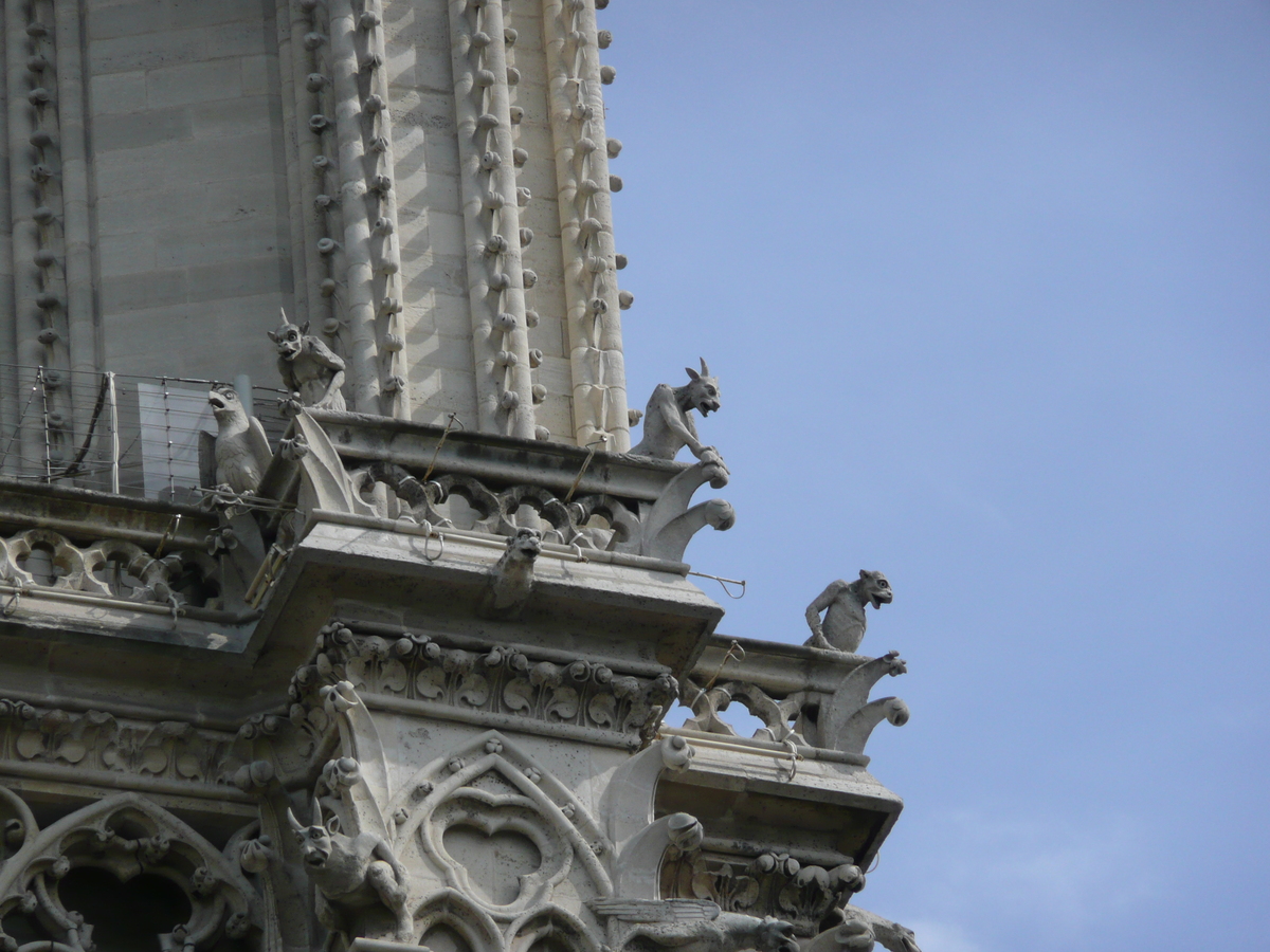 Picture France Paris Notre Dame 2007-05 46 - Rentals Notre Dame