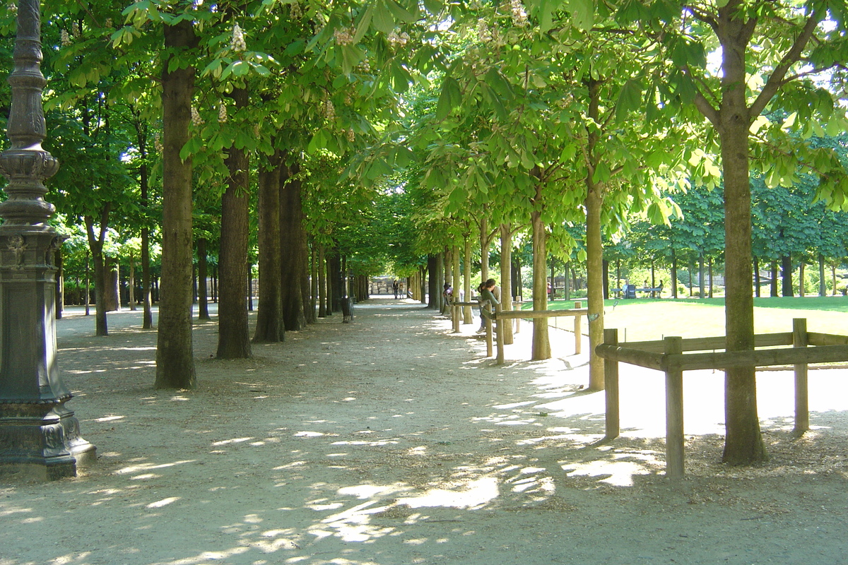 Picture France Paris Garden of Tuileries 2007-05 205 - Street Garden of Tuileries
