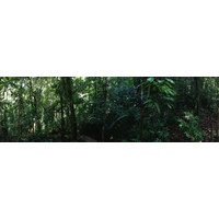 Picture Costa Rica Manuel Antonio 2015-03 83 - Night Manuel Antonio