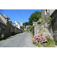 Picture France St Michel en Greve 2007-08 61 - Spring St Michel en Greve