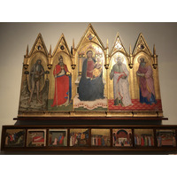 Picture Italy Rome Vatican Museum 2024-09 26 - Lands Vatican Museum