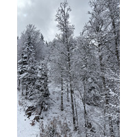 Picture France Praz sur Arly 2025-02 107 - Streets Praz sur Arly