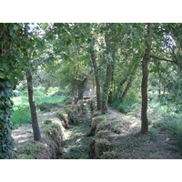 Picture France Villeneuve Loubet Parc de Vaugrenier 2006-09 4 - Waterfall Parc de Vaugrenier