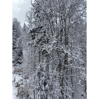 Picture France Praz sur Arly 2025-02 82 - Night Praz sur Arly