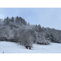 Picture France Praz sur Arly 2025-02 31 - City Sights Praz sur Arly