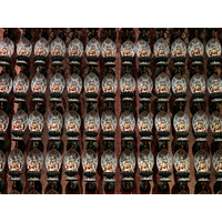 Picture Singapore China Town 2023-01 52 - Land China Town