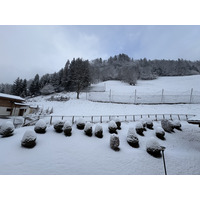 Picture France Praz sur Arly 2025-02 40 - Hot Season Praz sur Arly