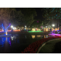 Picture Thailand Chiang Mai Nong Buak Haad Public Park 2024-01 59 - Hotel Pool Nong Buak Haad Public Park