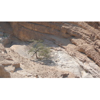 Picture Israel Arad to Dead Sea road 2007-06 105 - Rain Season Arad to Dead Sea road
