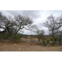 Picture South Africa Kruger National Park 2008-09 172 - Street Kruger National Park