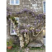 Picture France Locronan 2026-04 89 - Rentals Locronan