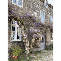 Picture France Locronan 2026-04 88 - Restaurant Locronan