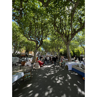 Picture France Vence 2024-04 32 - City Vence