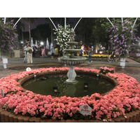 Picture Thailand Chiang Mai Nong Buak Haad Public Park 2024-01 30 - Hotel Pools Nong Buak Haad Public Park