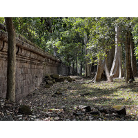 Picture Cambodia Siem Reap Angkor Thom 2023-01 27 - Sunrise Angkor Thom