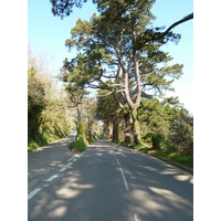 Picture Jersey 2010-04 109 - Lands Jersey